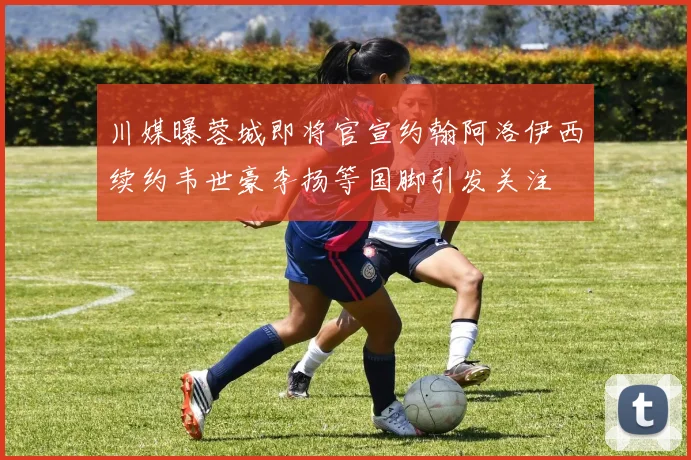 川媒曝蓉城即将官宣约翰阿洛伊西续约韦世豪李扬等国脚引发关注